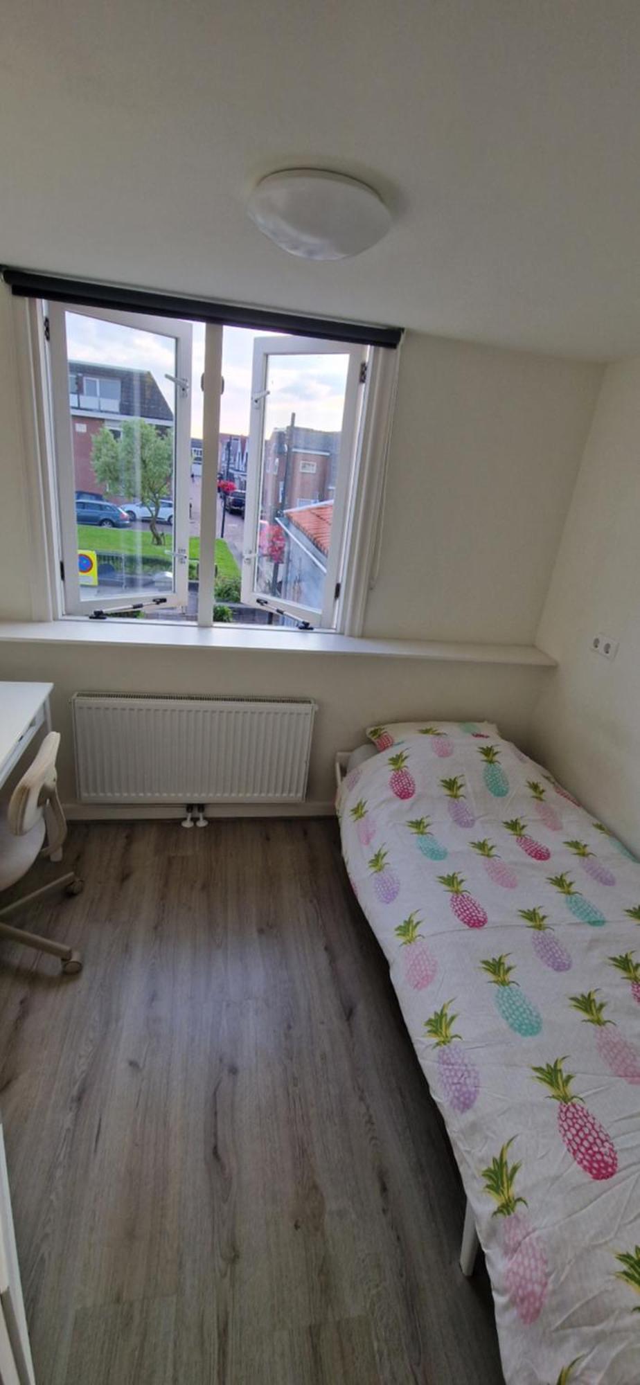 Der Springbrunnen Villa Egmond aan Zee Eksteriør billede